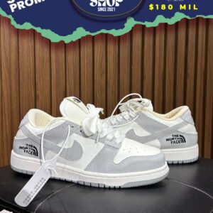 Broshop_Nike-Dunk-Low_The-North-Face-Grey-White