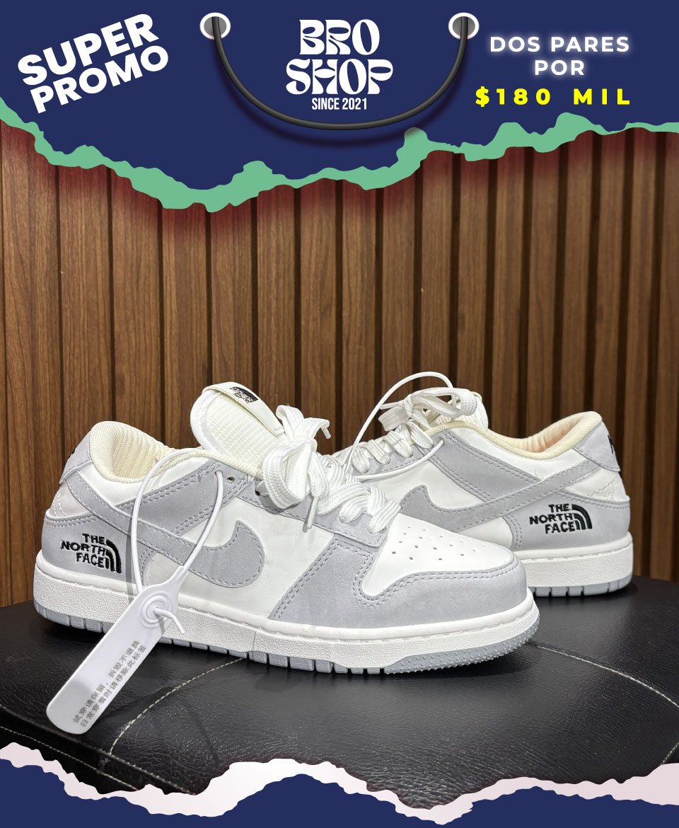 Broshop_Nike-Dunk-Low_The-North-Face-Grey-White