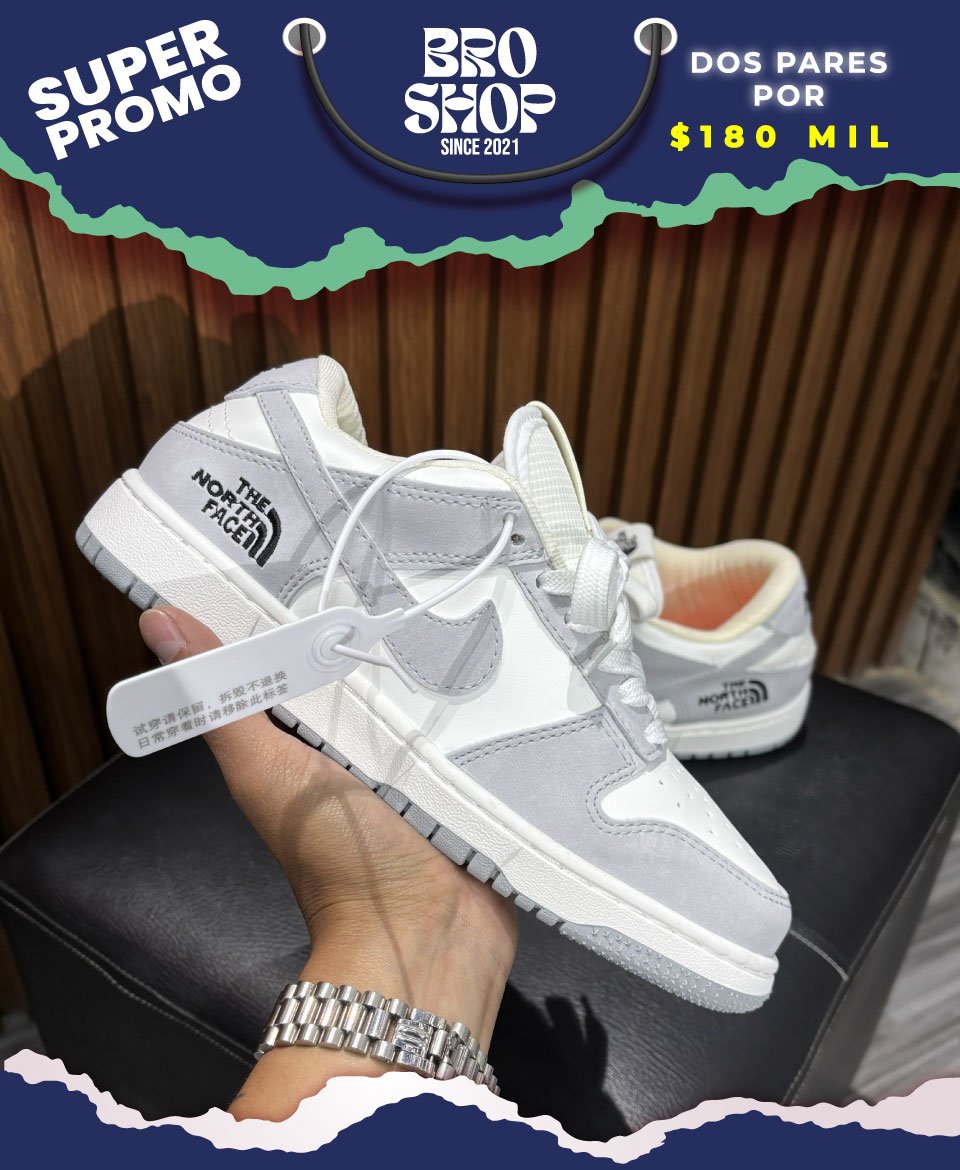 Broshop_Nike-Dunk-Low_The-North-Face-Grey-White